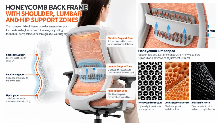 Integrated back frame with shoulder, lumbar and hip support zones